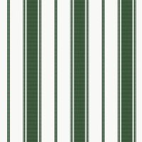 Stripes  58402 - 10,05 x 0,53m - Vliesträger