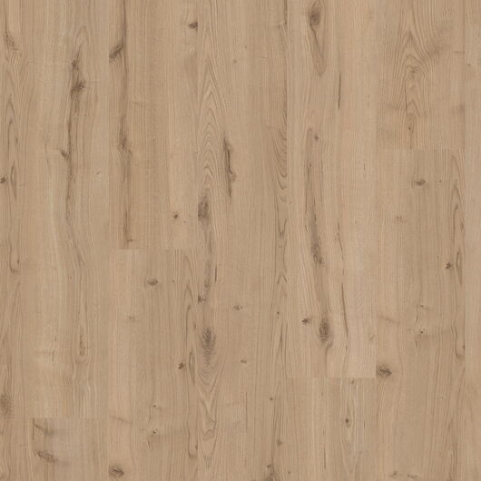 LAMINAT BUSINESS  EICHE MONTANA - 126,1 x 19,2 cm x 7mm, Laminat 0V