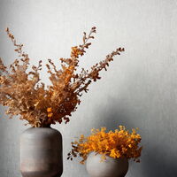 Kollektion Palazzo 2028 Artikel Nummer 5064000